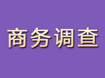 北川商务调查